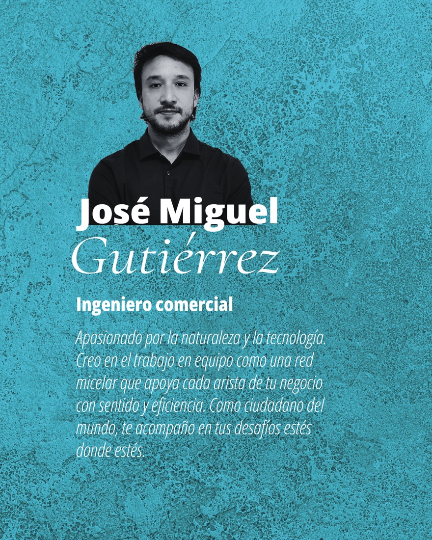 José Miguel Gutiérrez — Ingeniero comercial, Red Sur